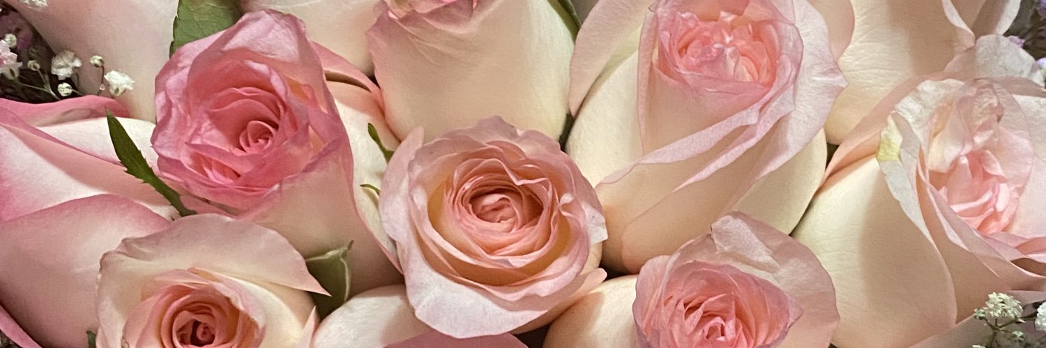 eri_guimo's profile banner image
