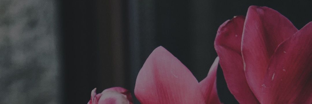 immodifer's profile banner image