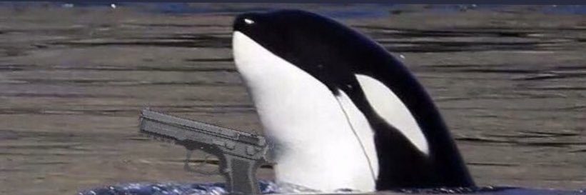 mariaheilers's profile banner image