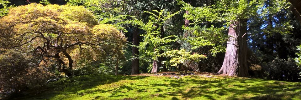 Marie Simonin banner