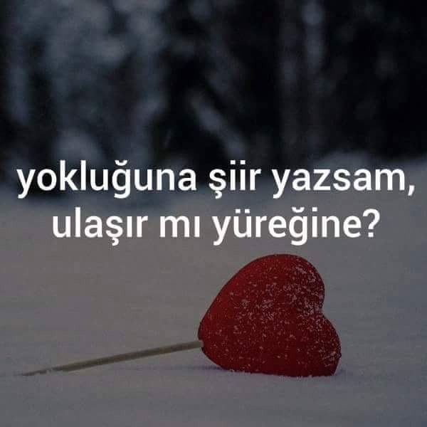 burcukocak34's profile banner image