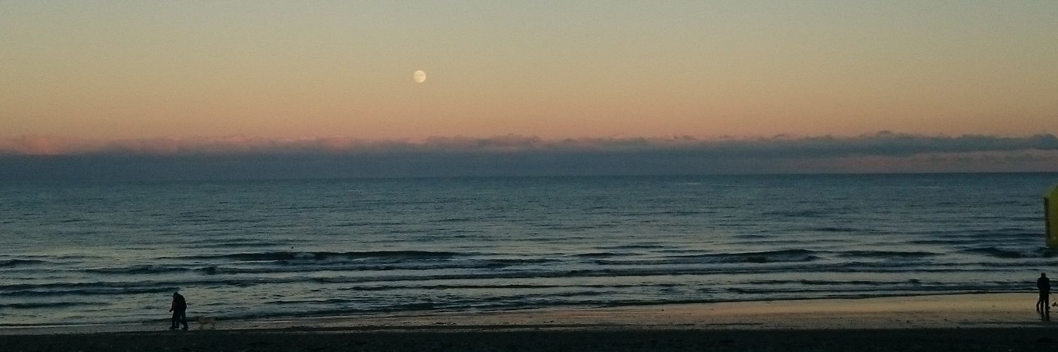 Lisa-Marie Murphy banner