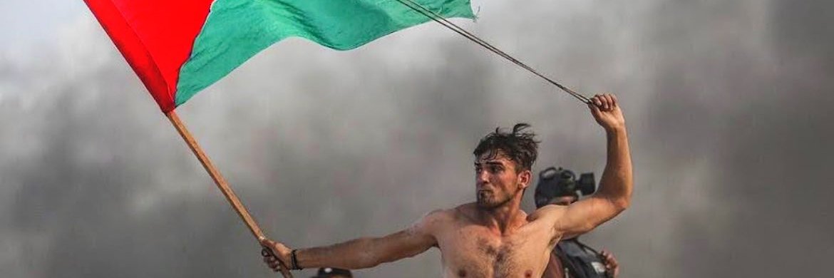 Mr Ribit 🍉🍉🍉🇵🇸 banner