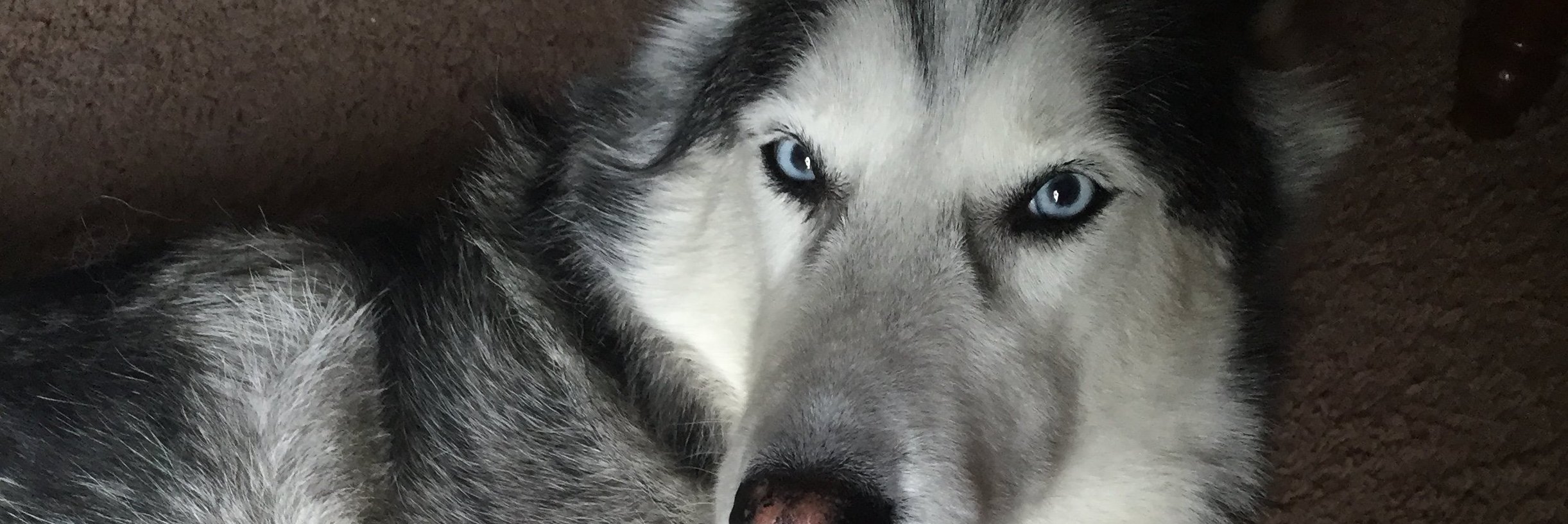ItsKeiran's profile banner image
