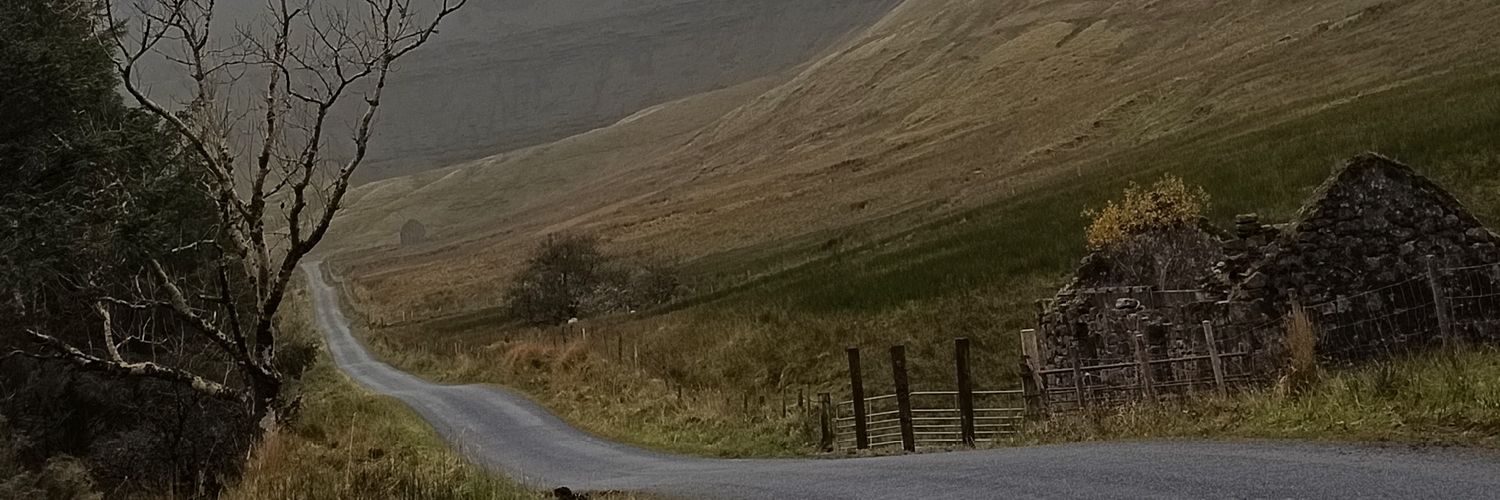 Cassaino's profile banner image