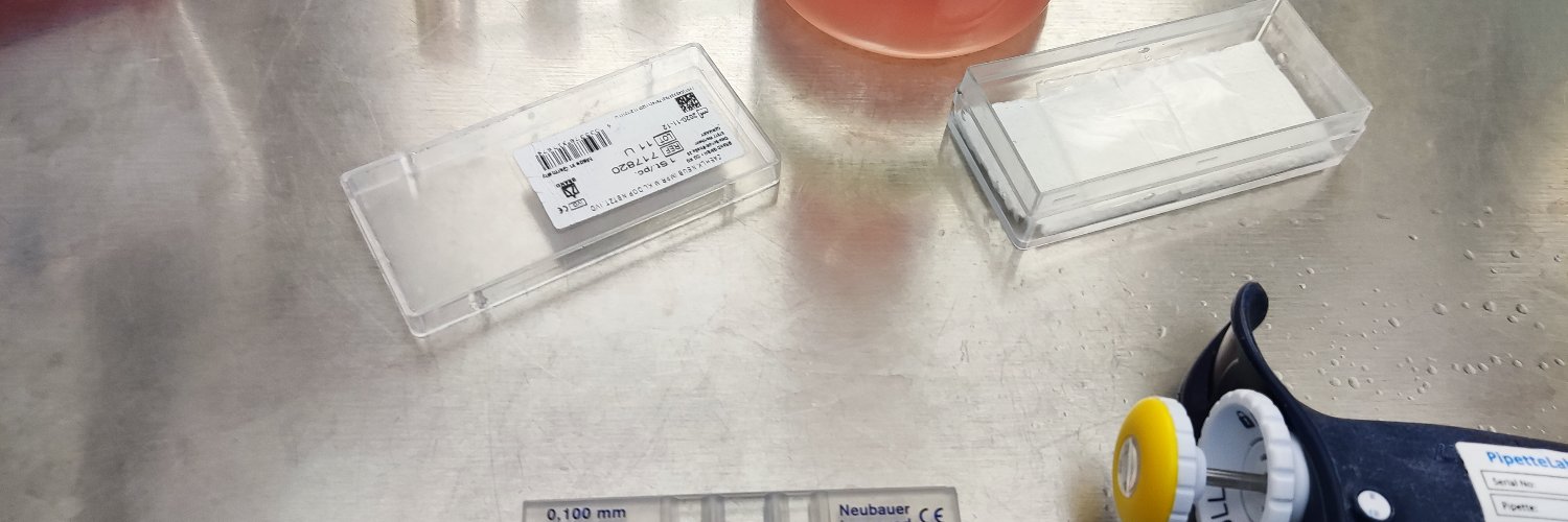 Ricardo A. Fernandes banner