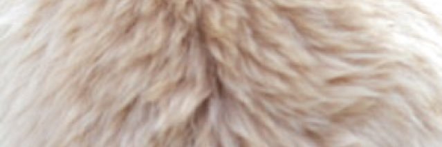 polp1203's profile banner image