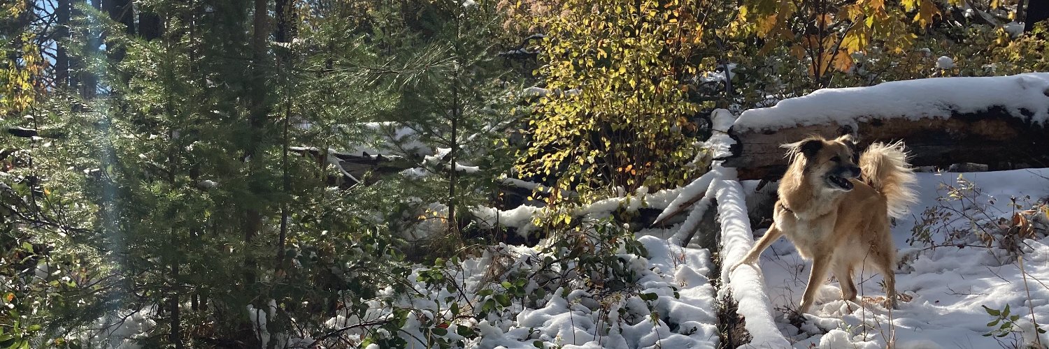 Caroline Kikawa banner