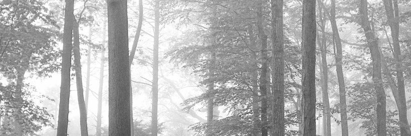 Indike114's profile banner image