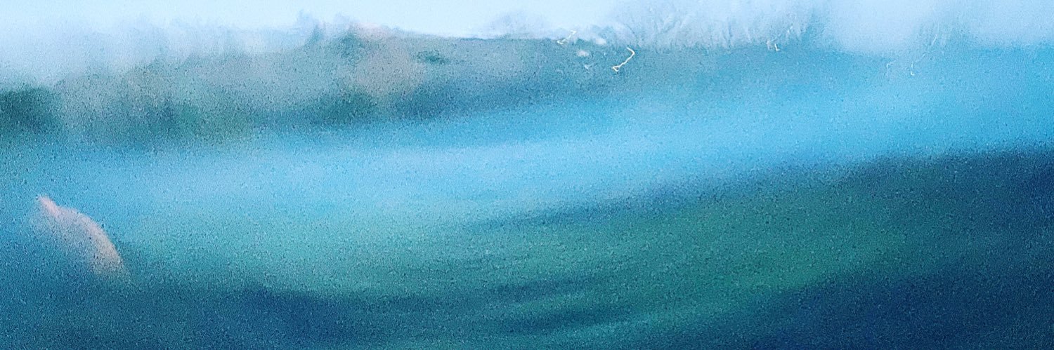 robertatorre3's profile banner image