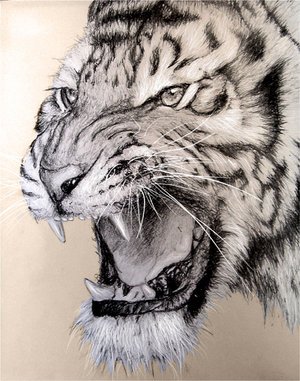 jusufdipta's profile banner image