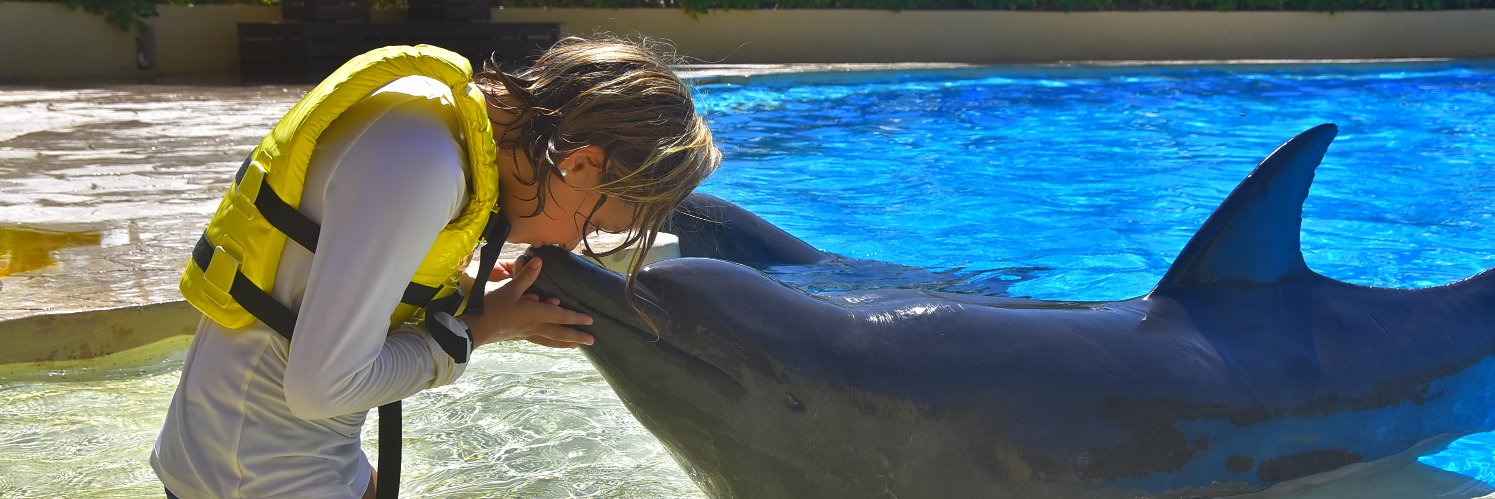 Dolphinaris's profile banner image