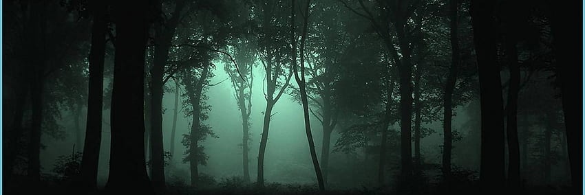 𝕳𝖎𝖙𝖔𝖘𝖍𝖎 banner