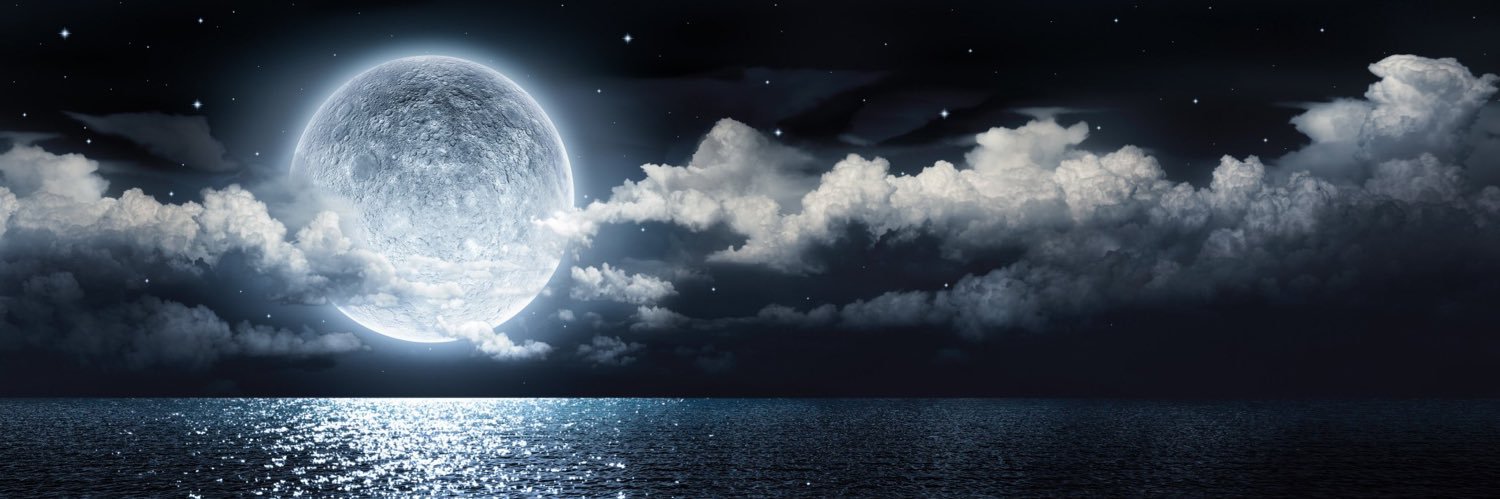 Charlene Scott banner