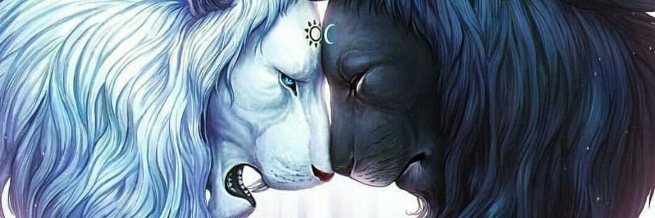 selin_s_3's profile banner image