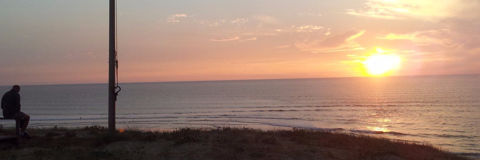 Dominic Smith banner