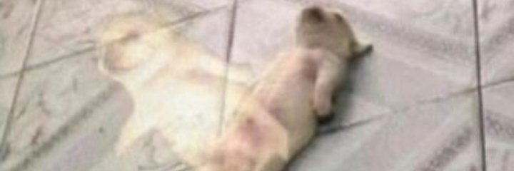 batibren's profile banner image