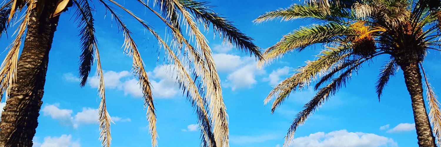 SarahLead88's profile banner image