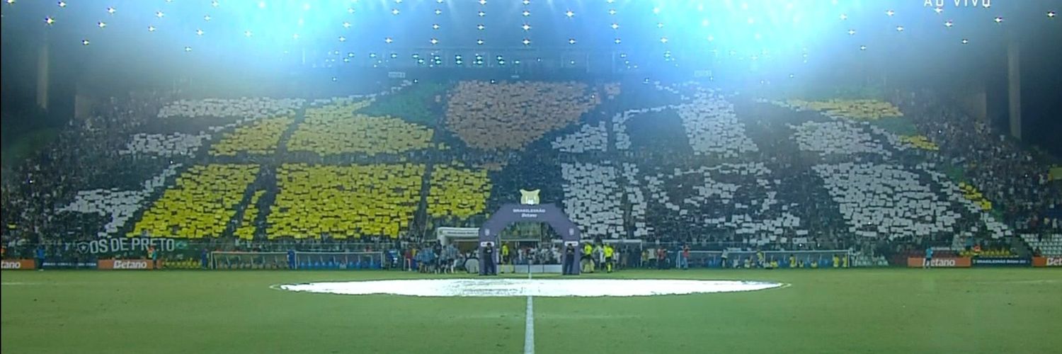 Botafoguêro ★ 彡 ᵇᶠʳ banner