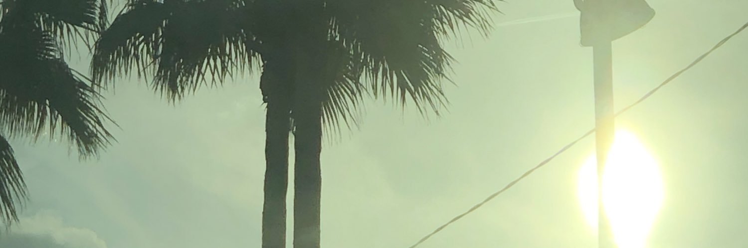 ThatDamnKevin's profile banner image