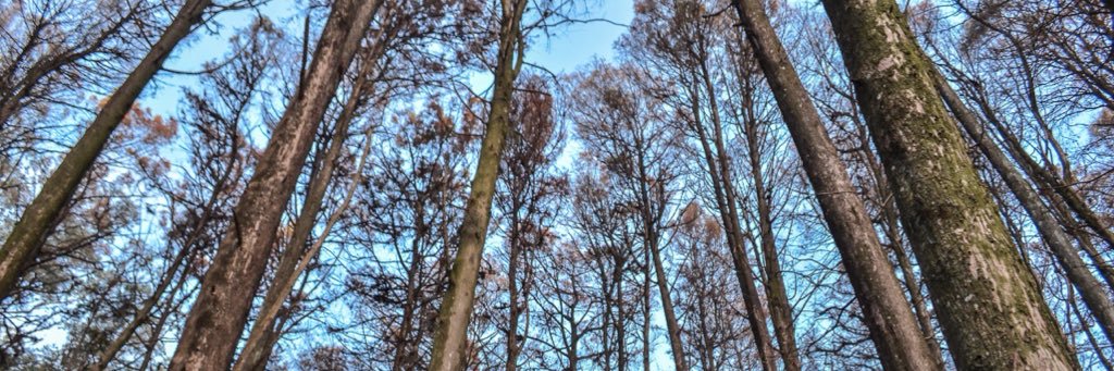 stephanielodi_'s profile banner image