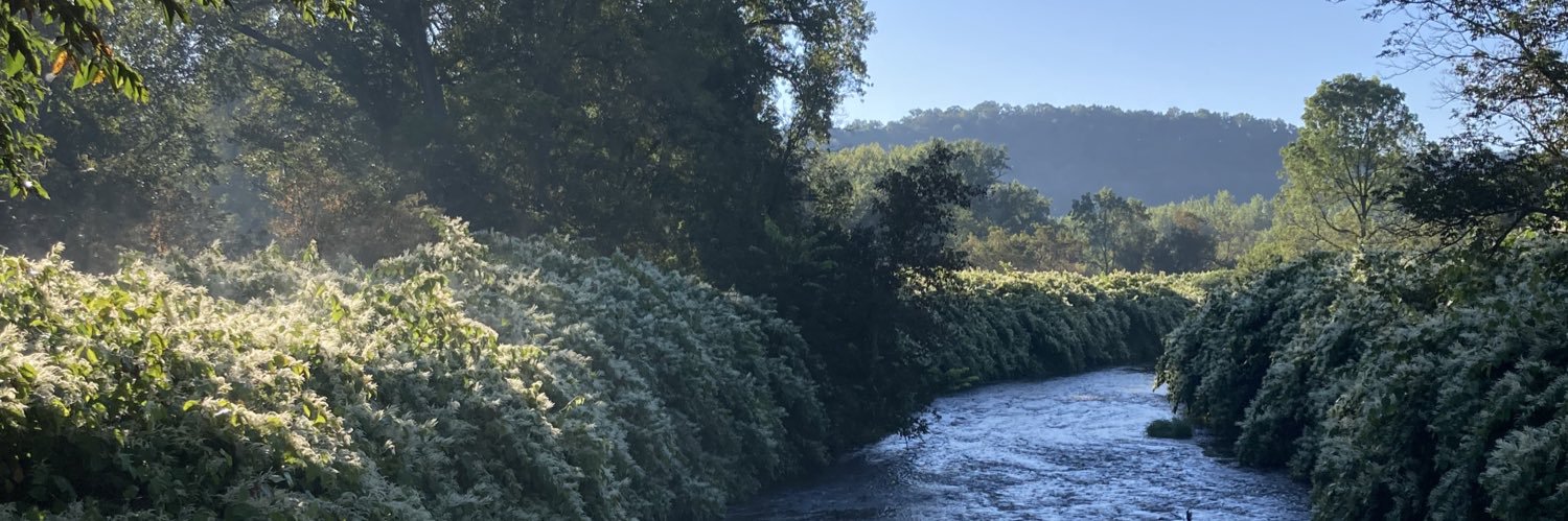 Brandon Steil banner