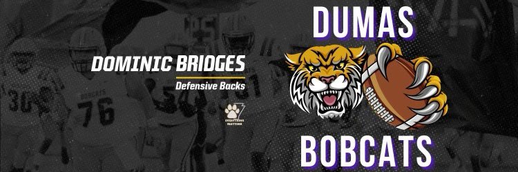 Dominic Bridges banner