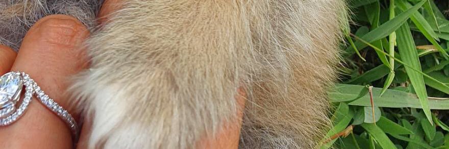 twingle_small9's profile banner image