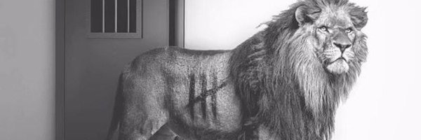 32ChrissyB Profile Banner