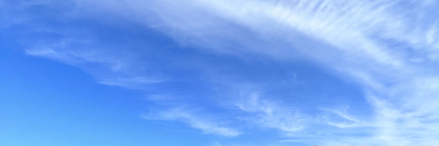 Patjaree Aukarasereenont banner