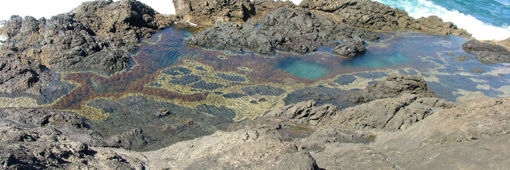 Toi Aria: Design for Public Good banner