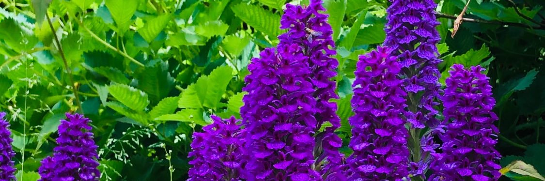 Stephanie ✨Meidas Mighty banner