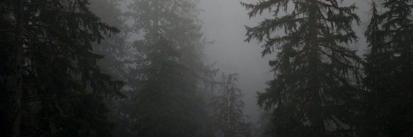 __beadinghearts Profile Banner