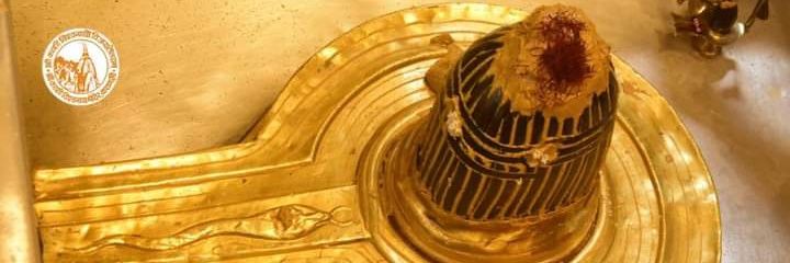 JayMishra16's profile banner image