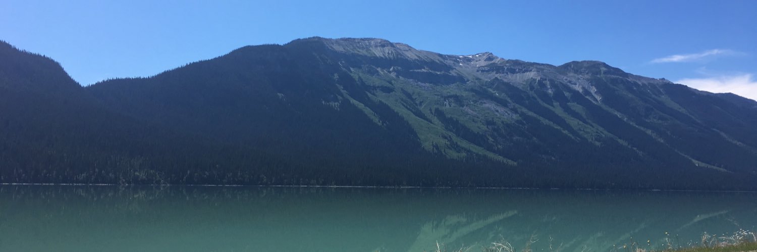 Theodore Johnson banner