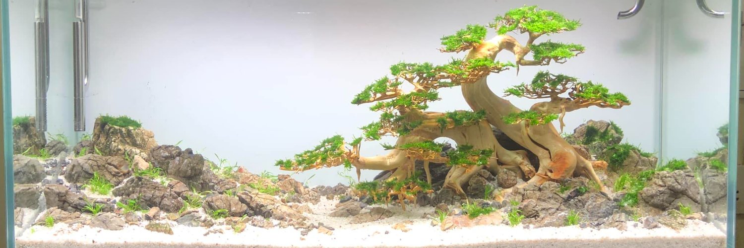 ali_lakkis's profile banner image