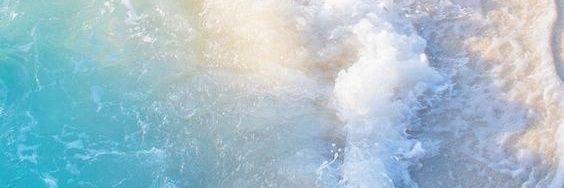 mandydott's profile banner image