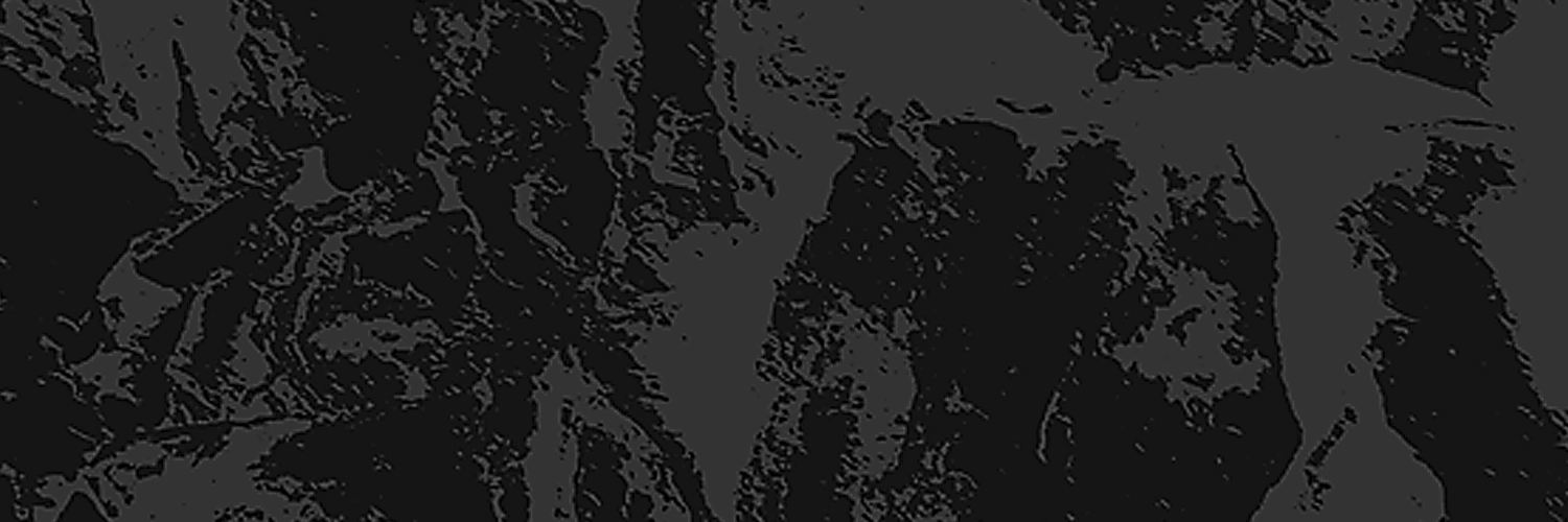 evaneckard's profile banner image