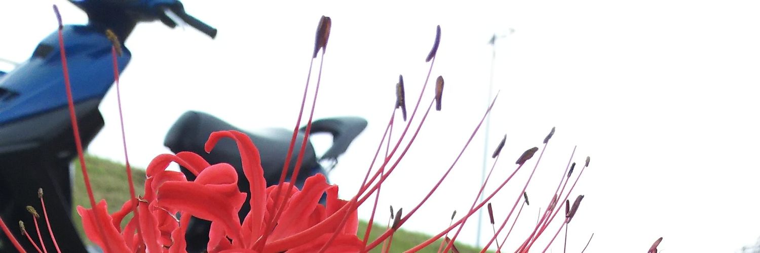 aki9116's profile banner image