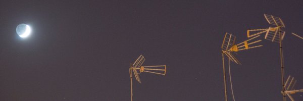 blancopus Profile Banner
