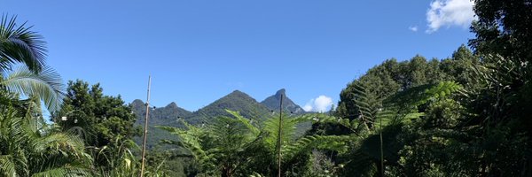 Dr_Alix_Hall Profile Banner