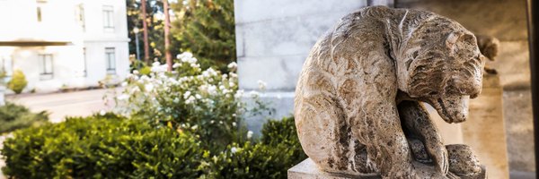 igarciavaldivia Profile Banner