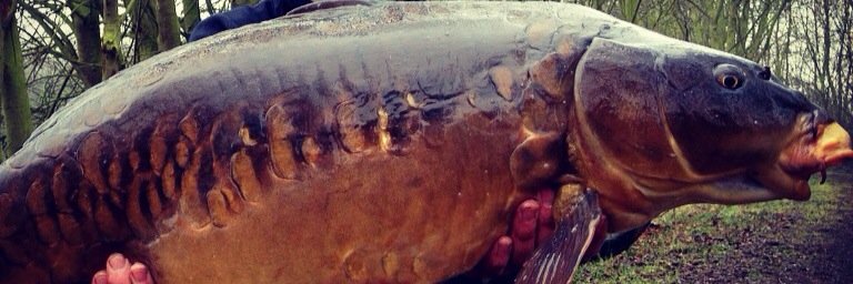mclarkson89's profile banner image