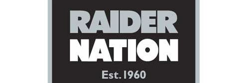 Mr. Raider banner