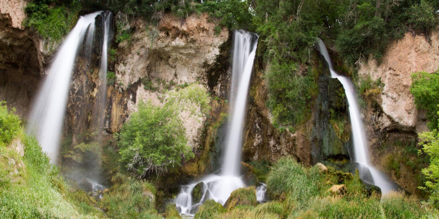 Stephanie McCoil banner