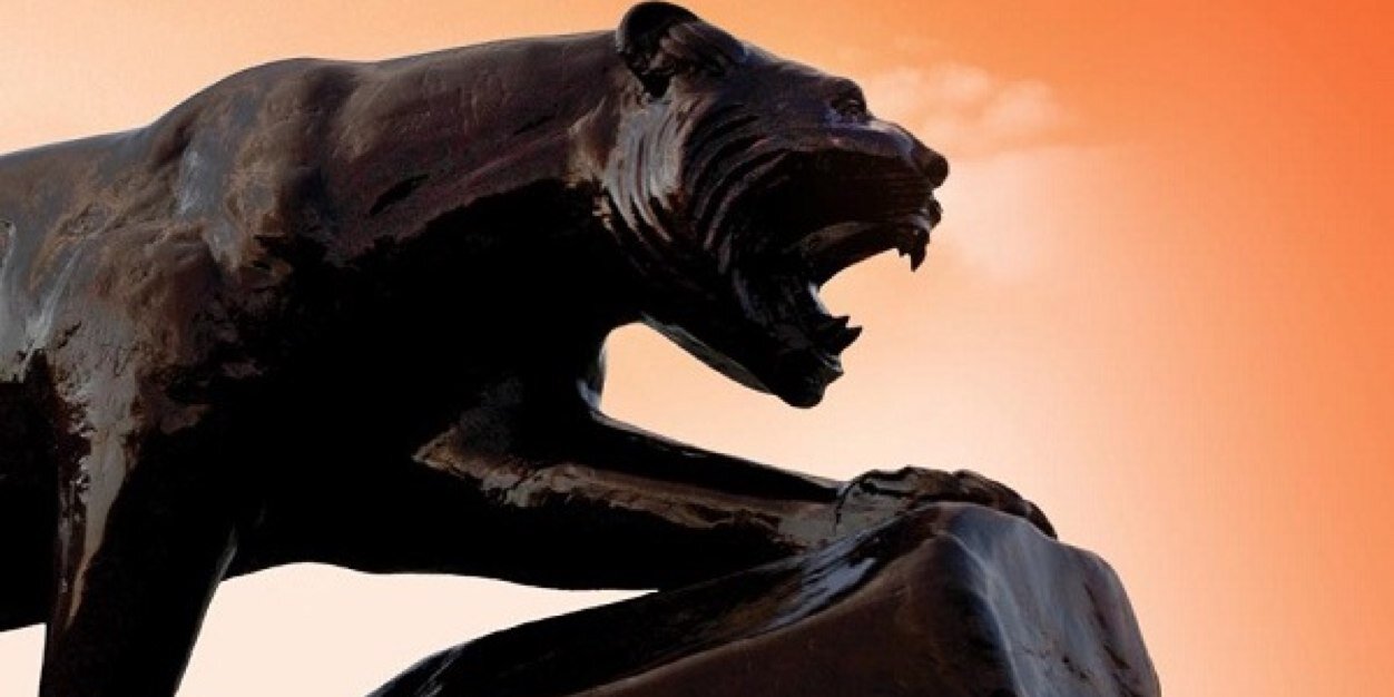 ClemsonLiving's profile banner image