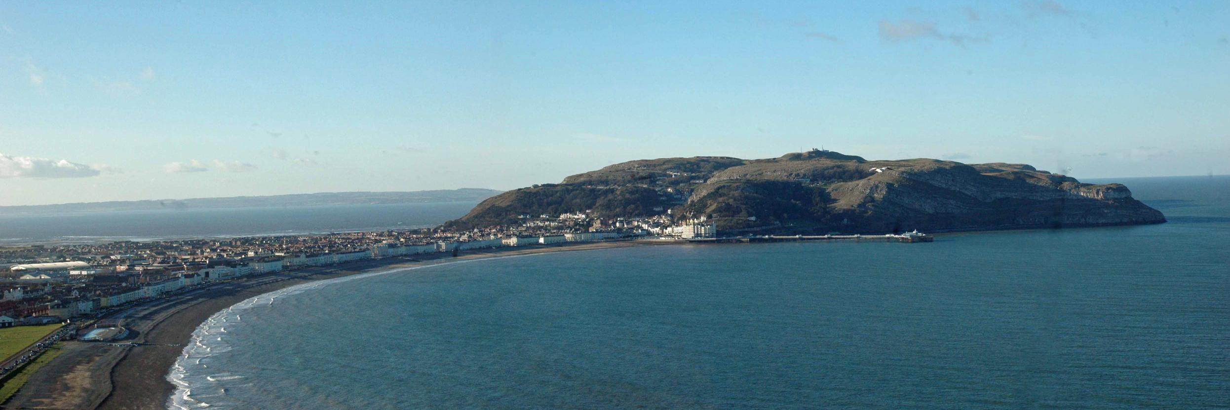 Vanessa Griffiths banner