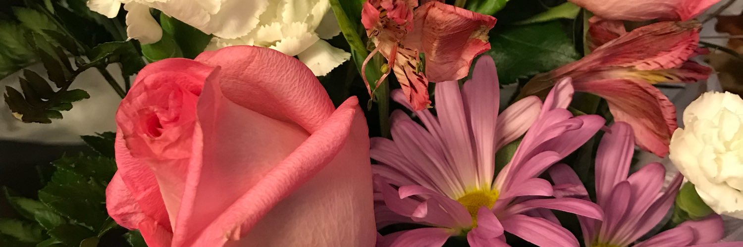 AlEdith1's profile banner image
