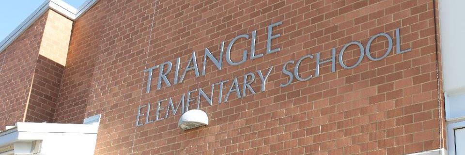 Triangle Tigers banner