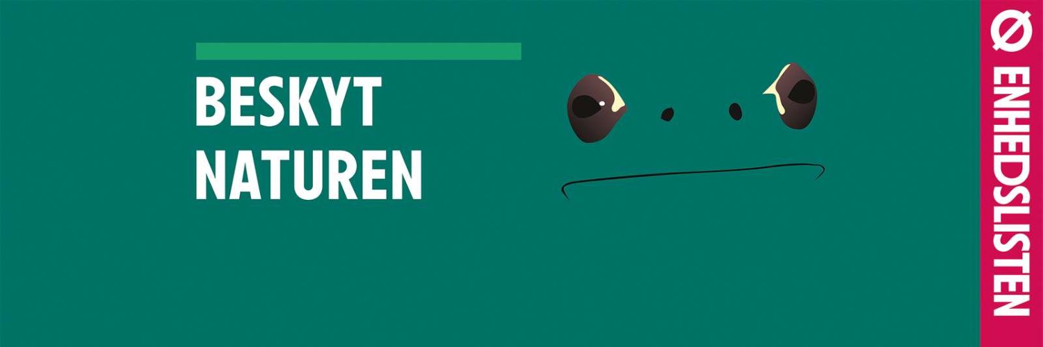 Jonas Paludan banner